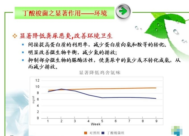 丁酸梭菌對(duì)環(huán)境的顯著效果.jpg