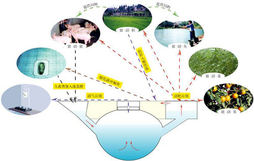 “豬-沼-果”等“三結(jié)合”生態(tài)農(nóng)業(yè)模式 - 富硒幫 - 富硒幫物理農(nóng)業(yè)博客