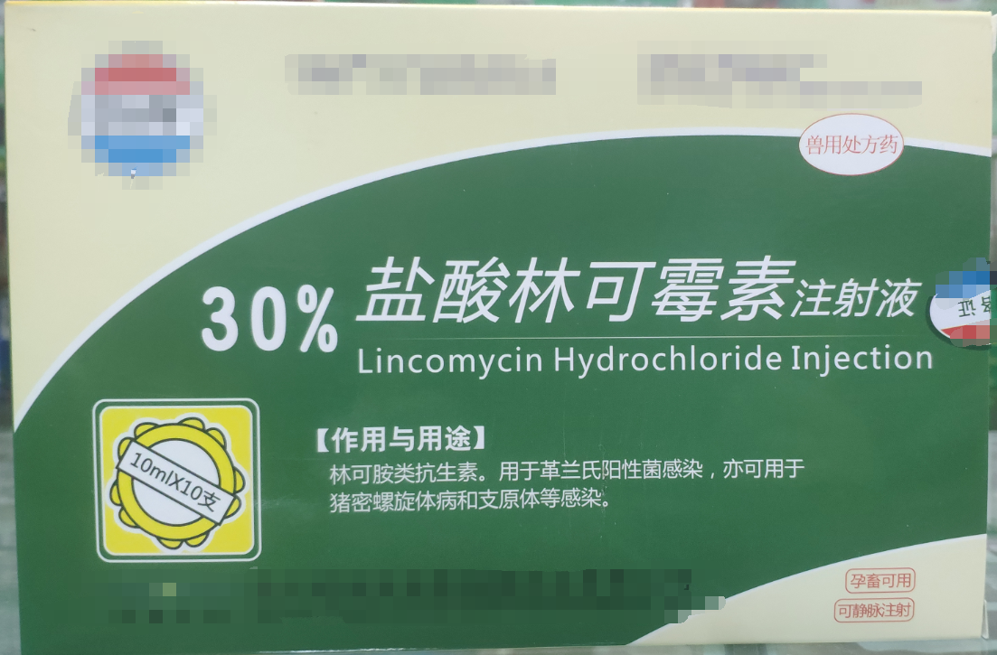 30%林可霉素注射液，用于革蘭氏陽性菌感染，亦用于母蓄的產(chǎn)后消炎，亦可用于豬密螺旋體和支原體感染