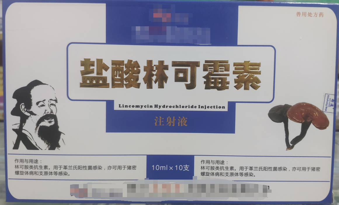 林可霉素注射液，用于革蘭氏陽(yáng)性菌感染，亦可用于豬密螺旋體和支原體感染