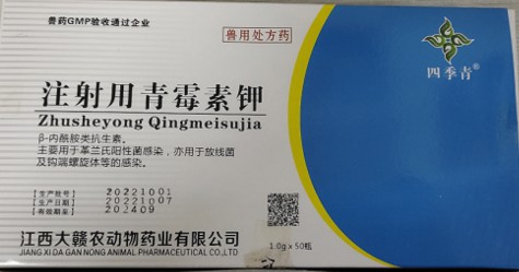 注射用青霉素鉀（160萬(wàn)），治療呼吸道感染、豬丹毒、炭疽病毒、敗血癥，肺疫、惡性水腫、腹膜炎、膿腫等