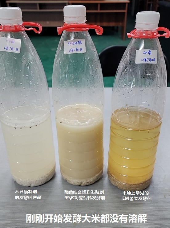 剛剛開始發(fā)酵大米都沒有溶解.jpg